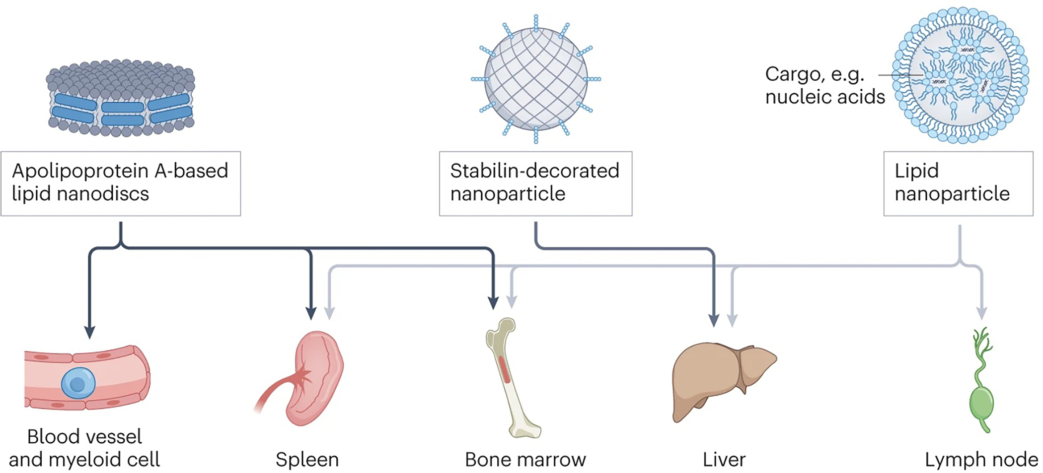 Figure 4 |