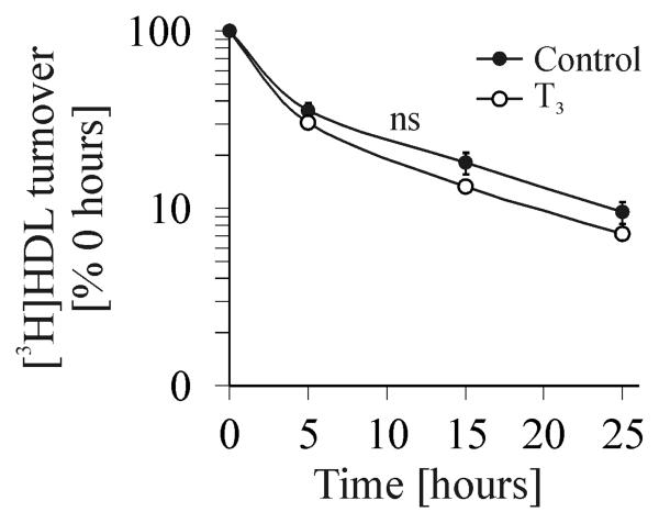 FIG.2