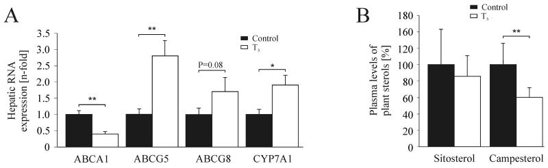 FIG.4