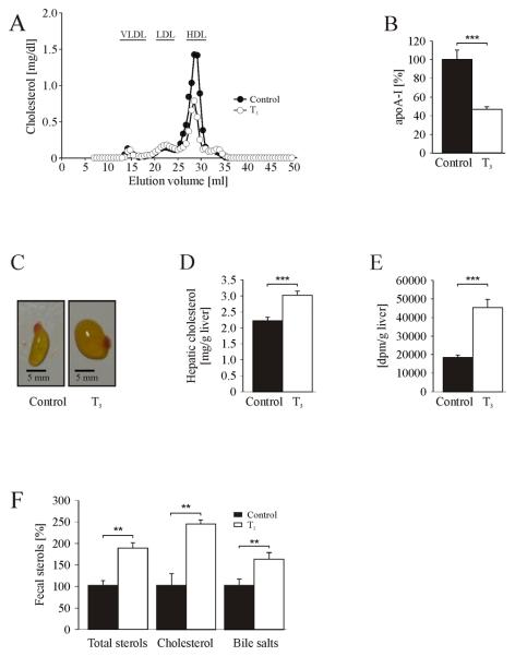 FIG.1