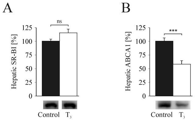 FIG.3