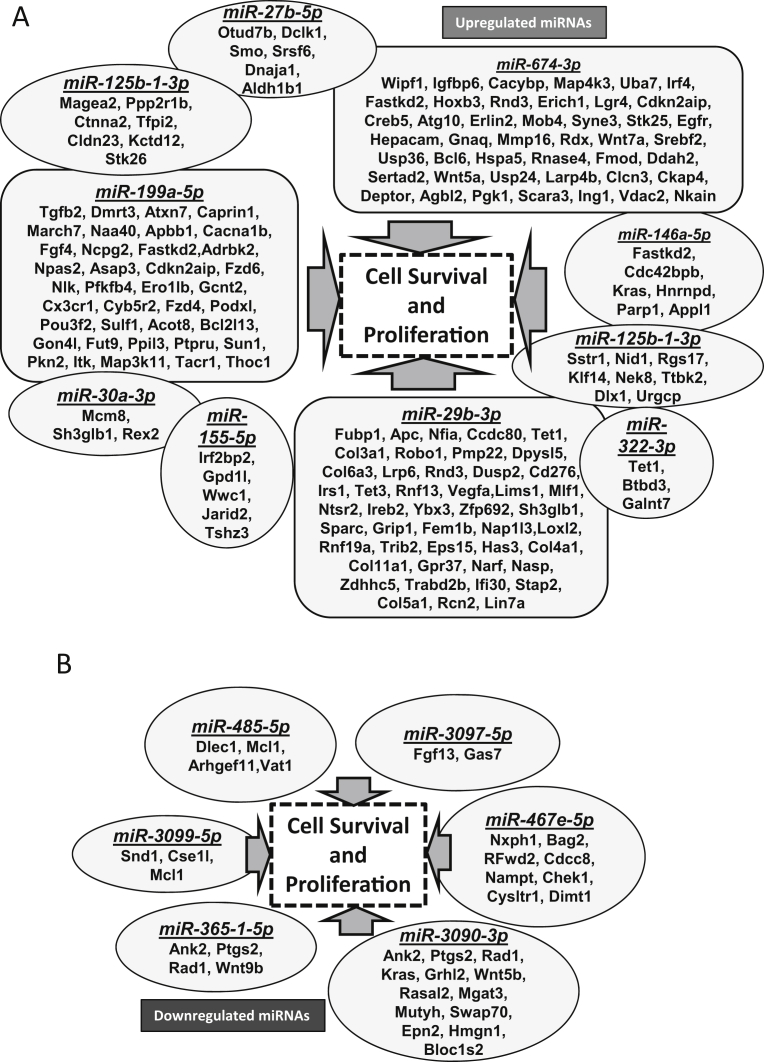 Fig. 6