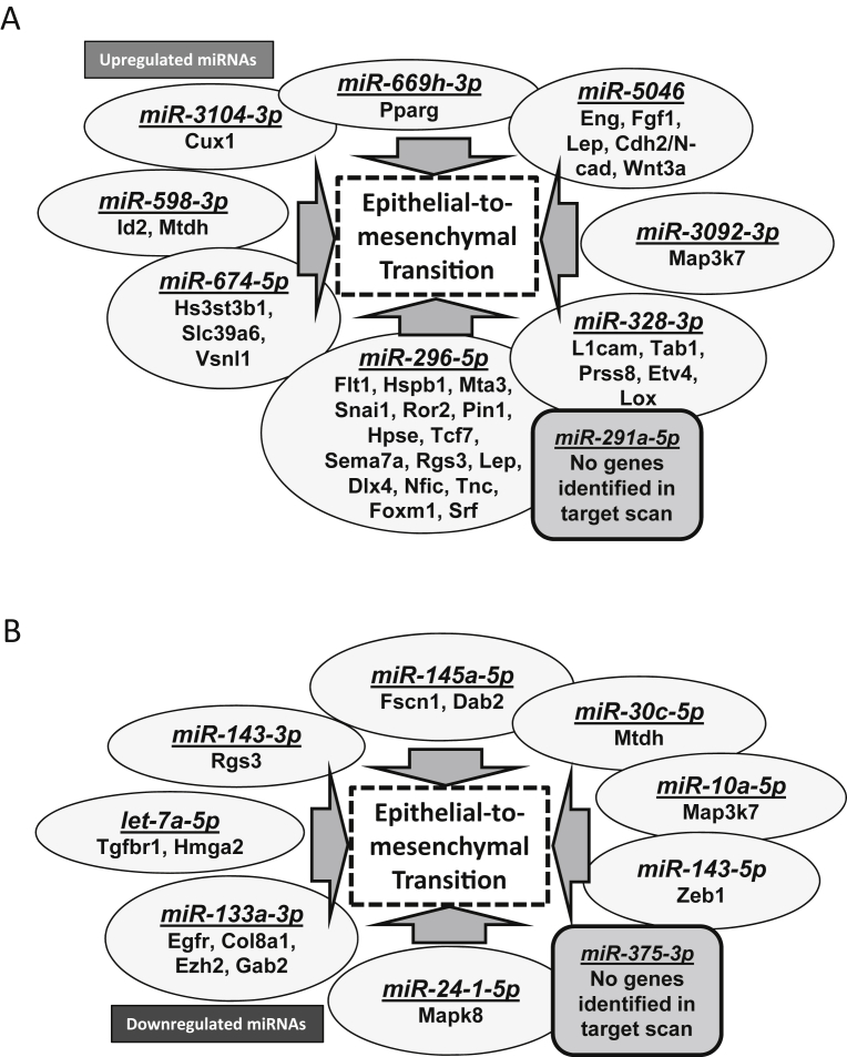 Fig. 9