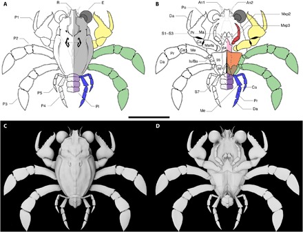 Fig. 4