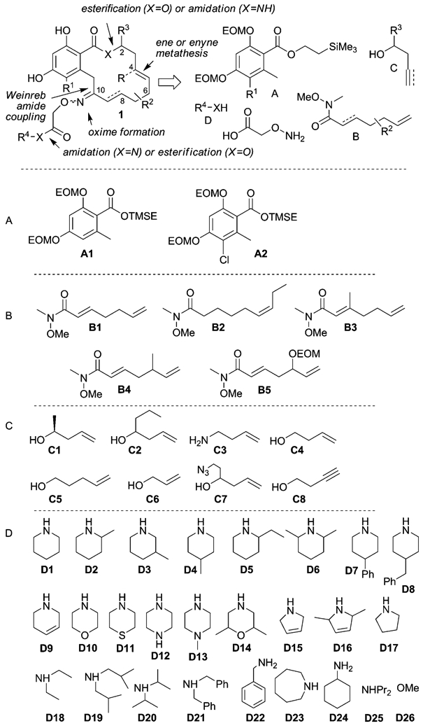 Scheme 1.