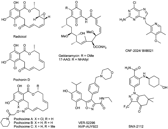 graphic file with name nihms-1633907-f0001.jpg