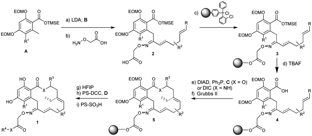 Scheme 2.