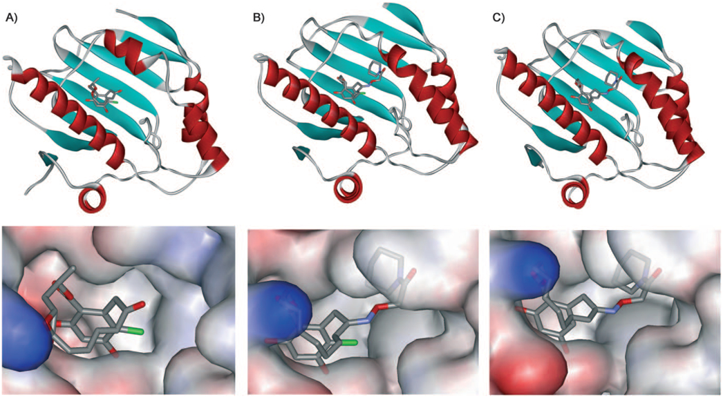 Figure 1.