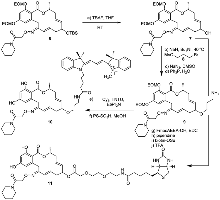 Scheme 3.