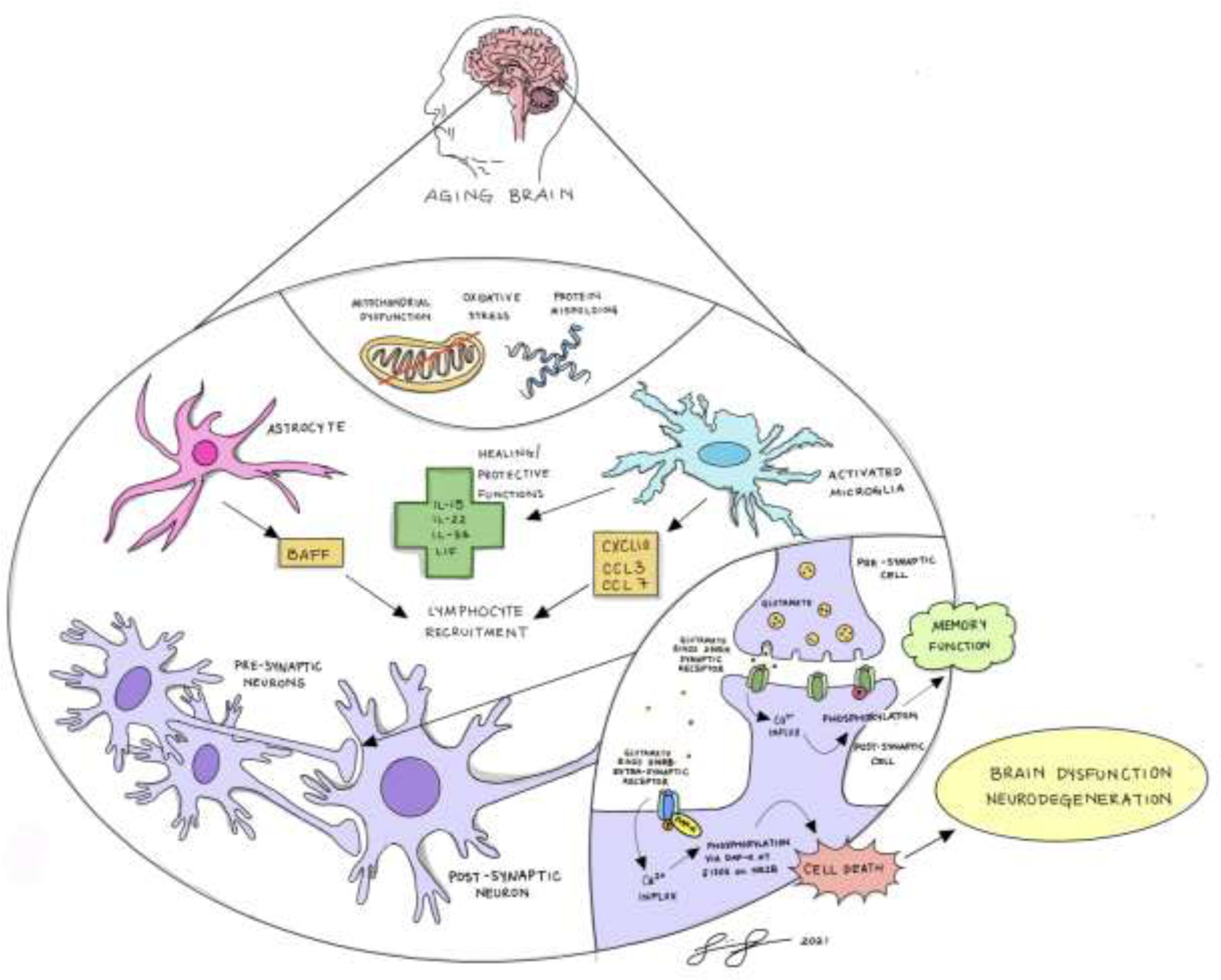 Figure 12.