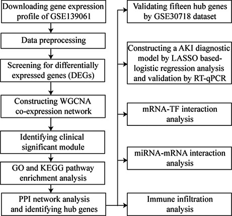 graphic file with name JCLA-36-e24709-g001.jpg