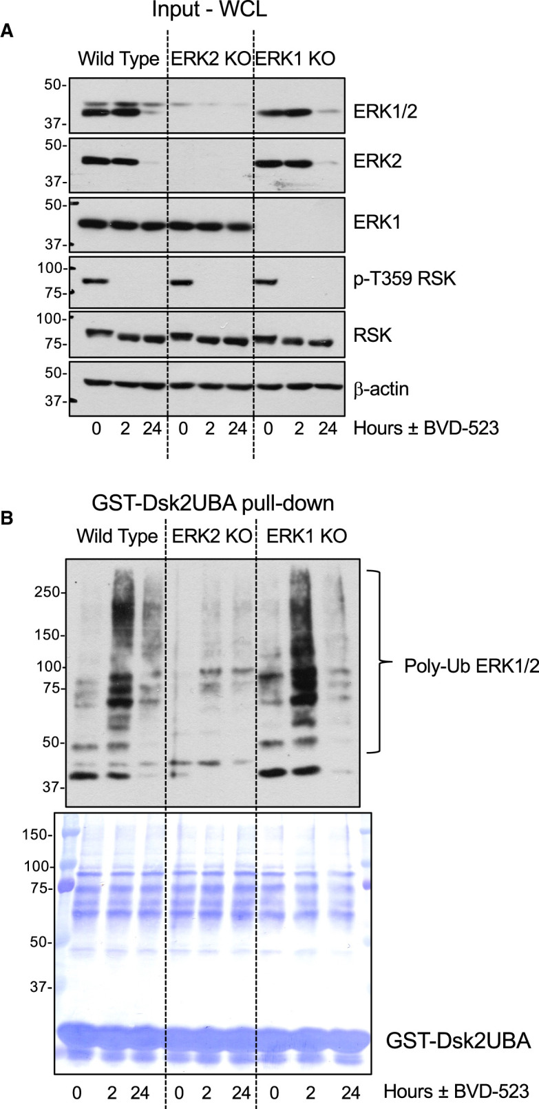 Figure 6.