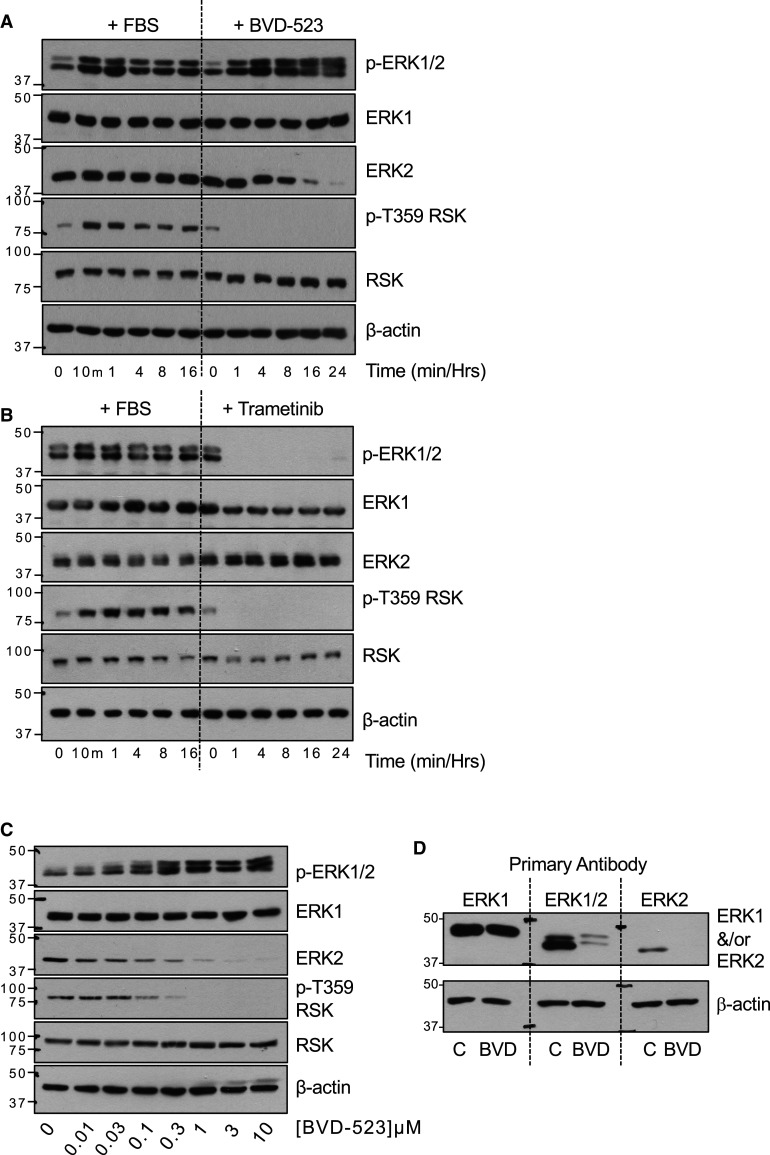 Figure 1.