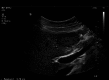 Fig. 5