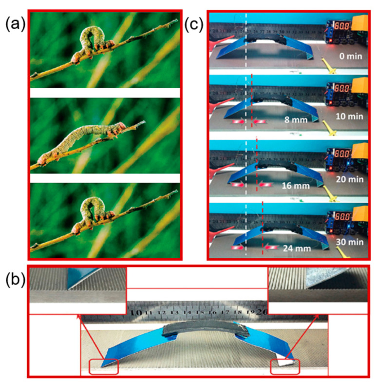 Figure 11