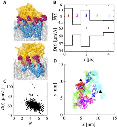 Fig. 3