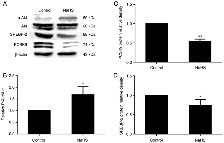 Figure 9