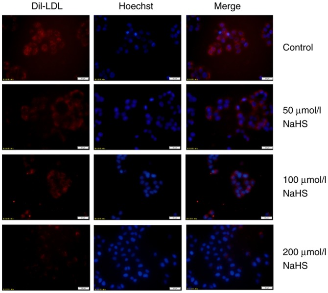 Figure 11