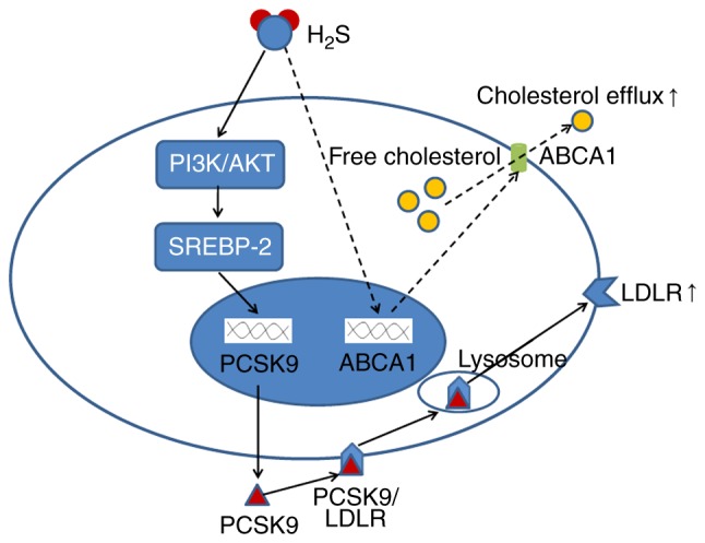 Figure 12