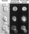 FIG. 6.