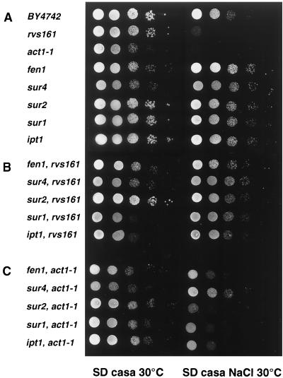 FIG. 4.