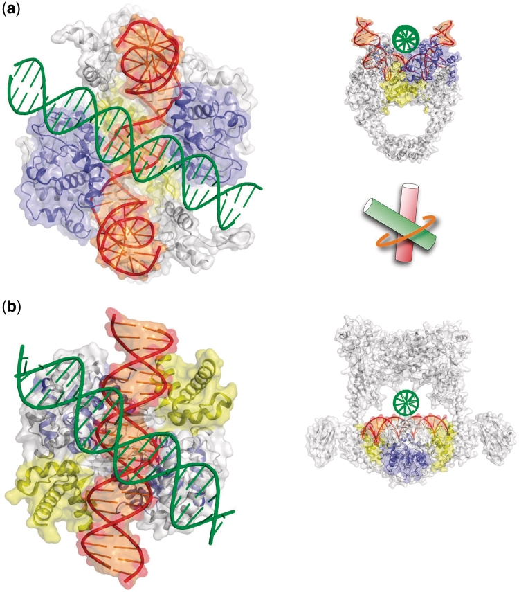 Figure 3.