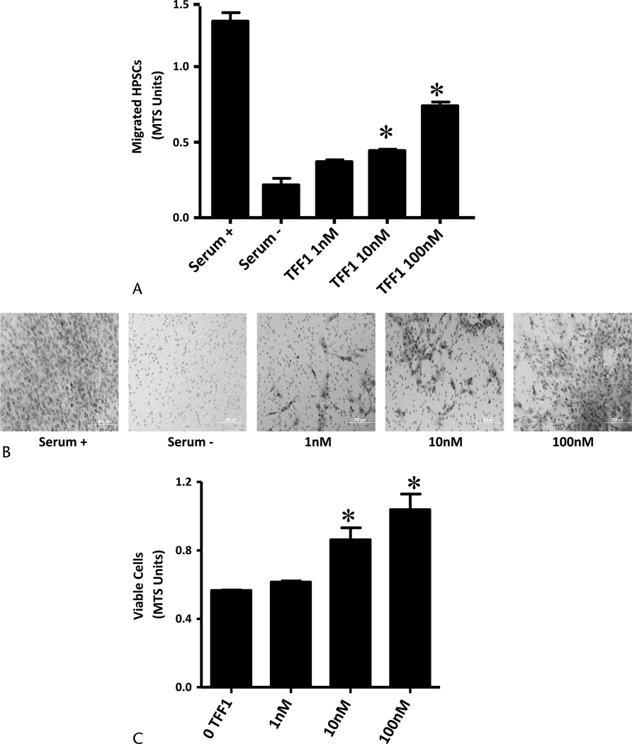 FIGURE 3