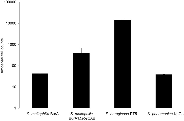 Fig 7