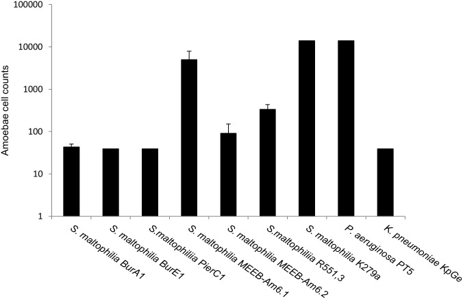 Fig 5