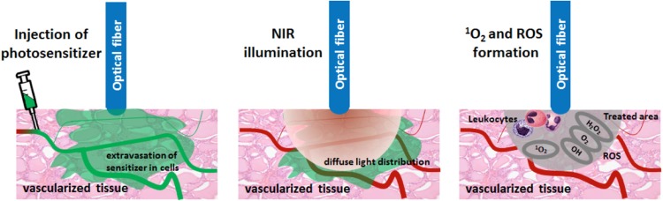 Fig. 5