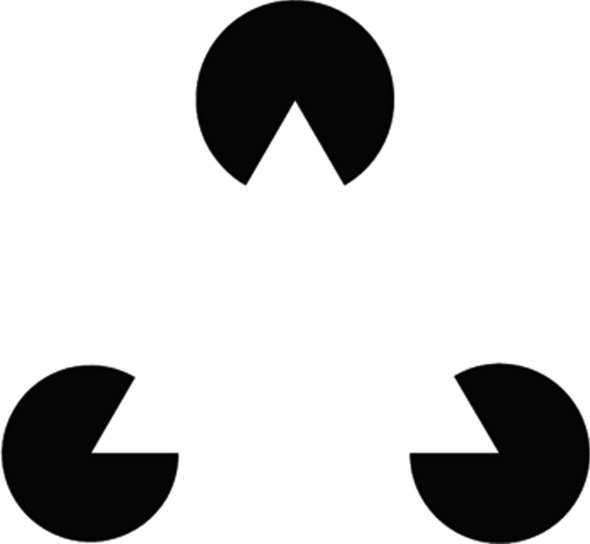 Fig. 1