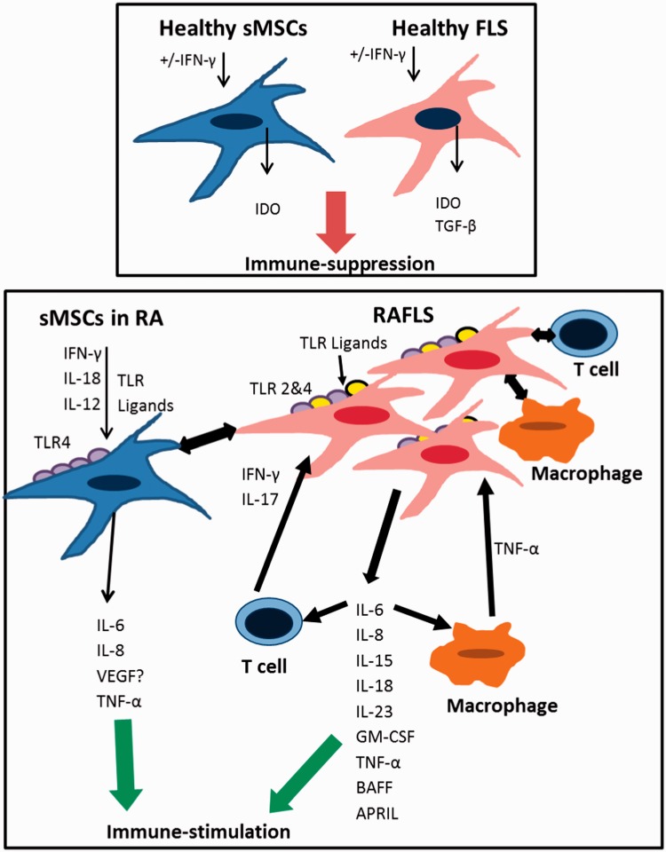 Figure 2.