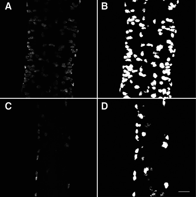 FIG. 5.