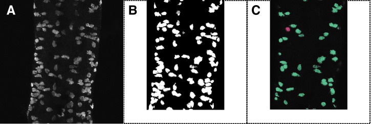 FIG. 4.