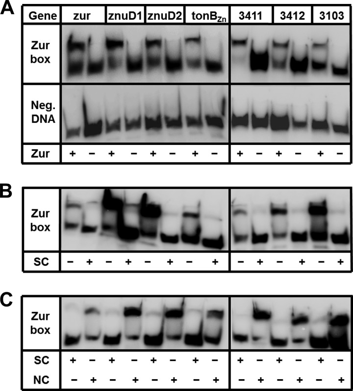 FIG 3