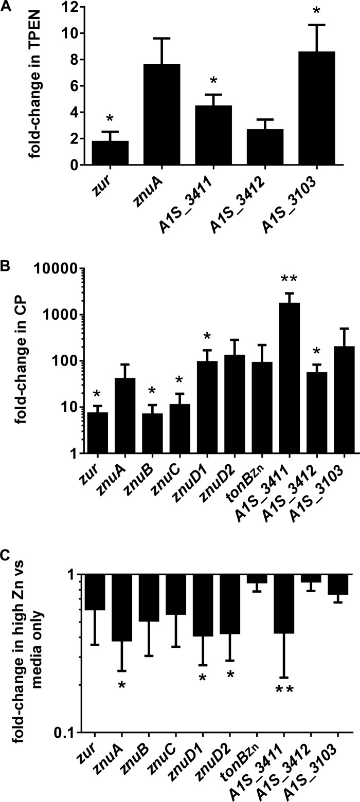 FIG 2