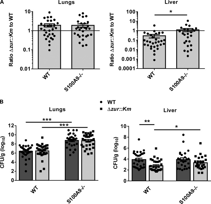 FIG 6