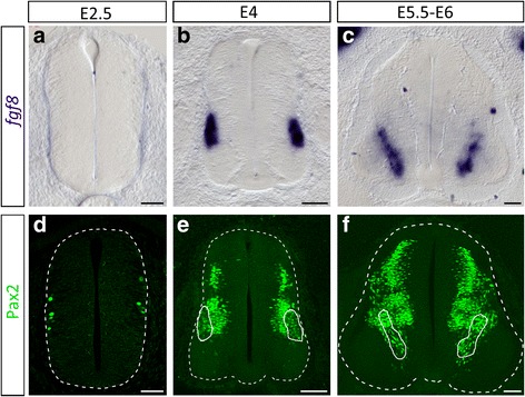 Fig. 10