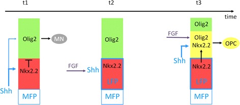 Fig. 11