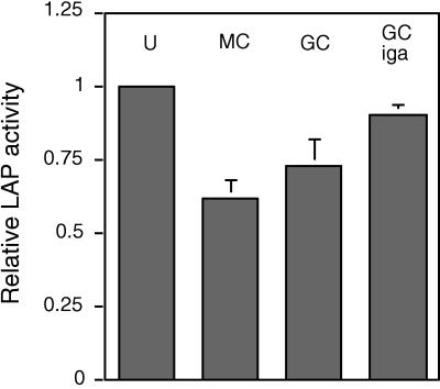 FIG. 5