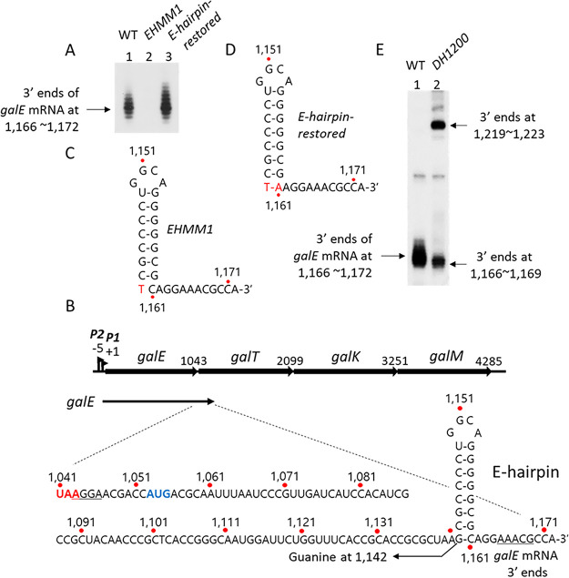 FIG 2