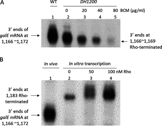 FIG 3