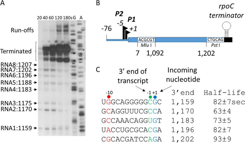 FIG 6