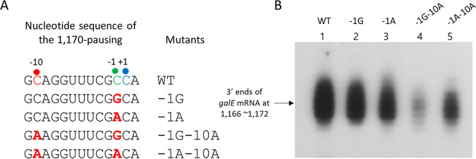 FIG 7