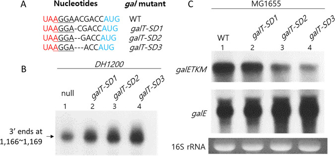 FIG 4