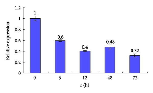 Figure 12