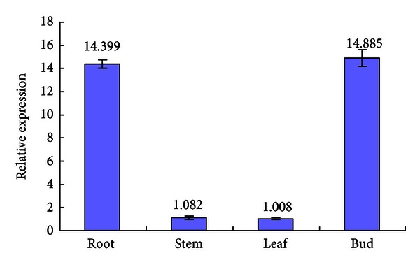 Figure 11