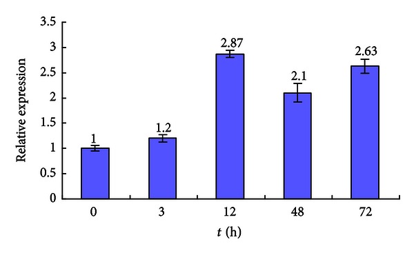 Figure 13