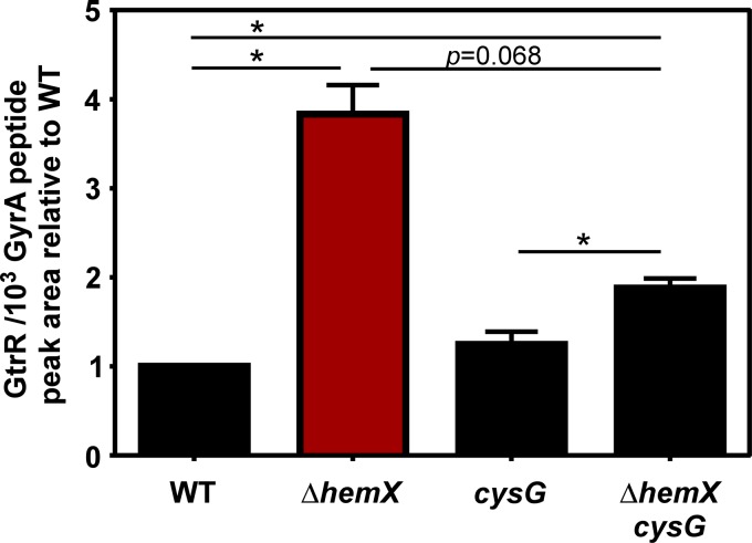 FIG 6 