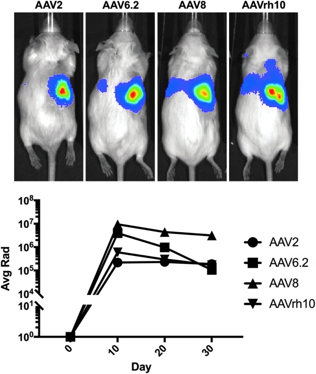 Figure 6.